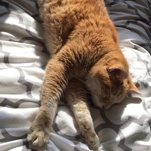 Meet your Posher, Jenna